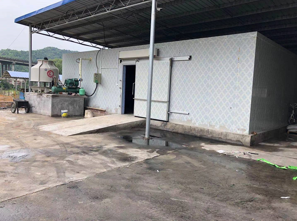 規格：150mm庫板；15HP比澤爾水冷機組